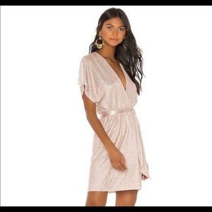 Sabina Musayev Daisy Metallic Dress